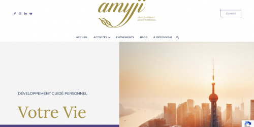 Illustration Creation du site vitrine - Amyji