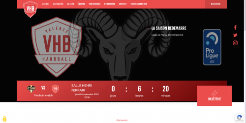 Illustration Creation du site e-commerce /valencehandball