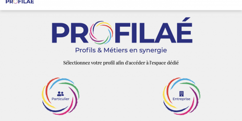 Illustration Creation du site vitrine - profilae