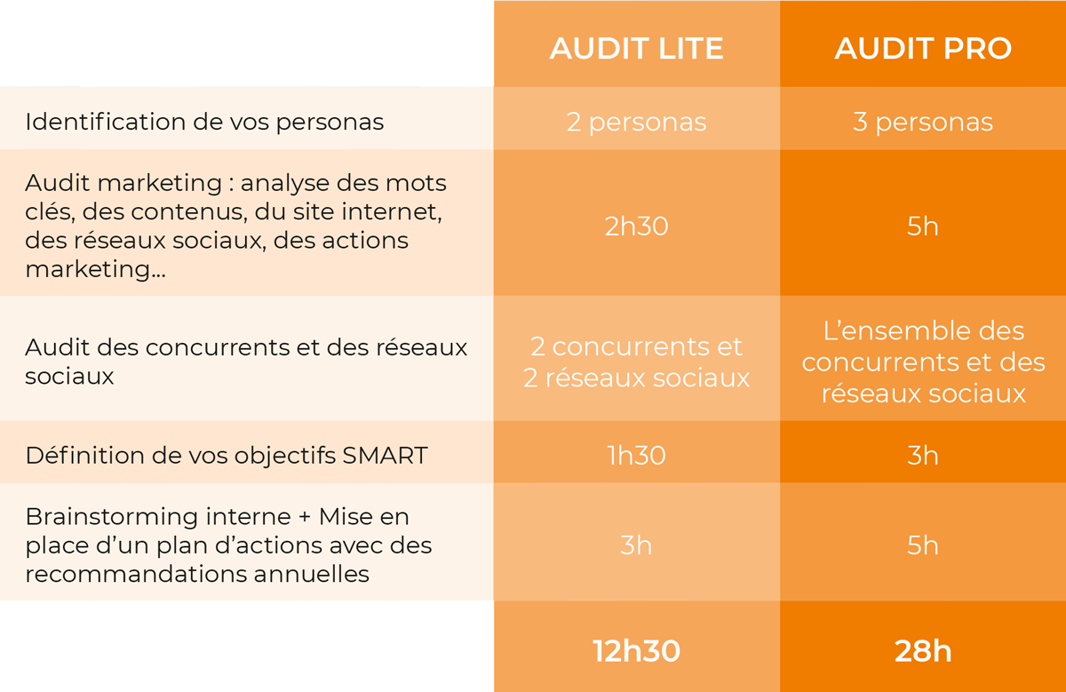 audit