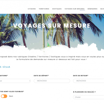 Creation du site vitrine - French Travel Team