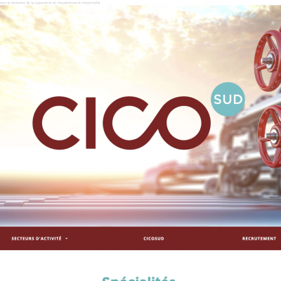 Creation du site vitrine - cico sud